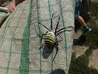 06.08.2012 14:14:52
Anreise
Rumänien 2012
Rumänien
Galerie