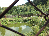 12.08.2012 14:30:32
12.08.2012
Rumänien 2012
Rumänien
Galerie