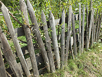 12.08.2012 14:31:40
12.08.2012
Rumänien 2012
Rumänien
Galerie