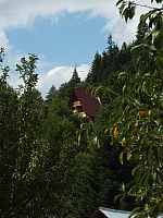 12.08.2012 14:32:19
12.08.2012
Rumänien 2012
Rumänien
Galerie