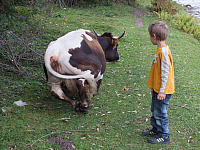 12.08.2012 15:04:22
12.08.2012
Rumänien 2012
Rumänien
Galerie