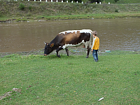 12.08.2012 15:08:22
12.08.2012
Rumänien 2012
Rumänien
Galerie